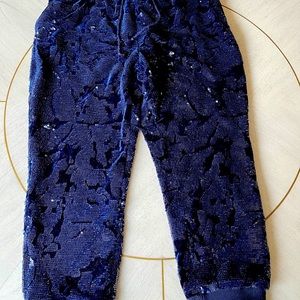 Anthropologie navy velvet sequin joggers Sz L